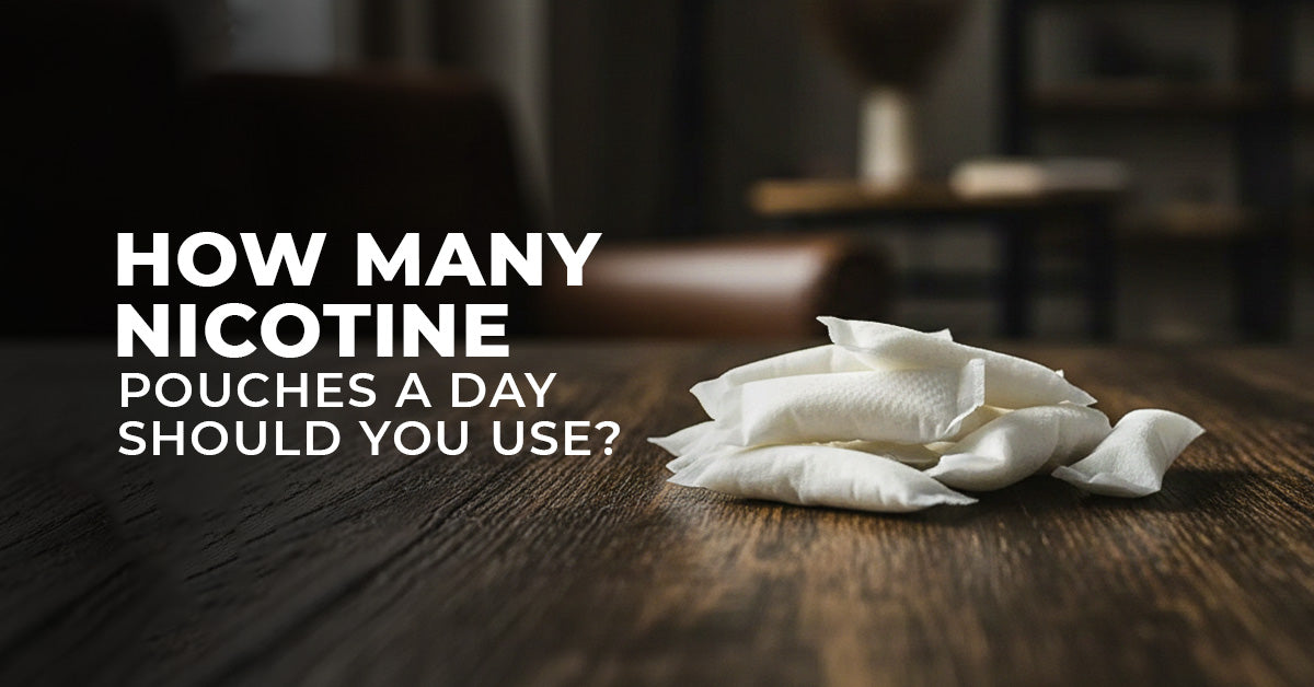 How Many Nicotine Pouches a Day Should You Use?