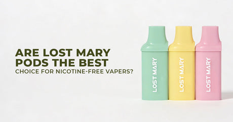 Are Lost Mary Pods The Best Choice For Nicotine-Free Vapers?