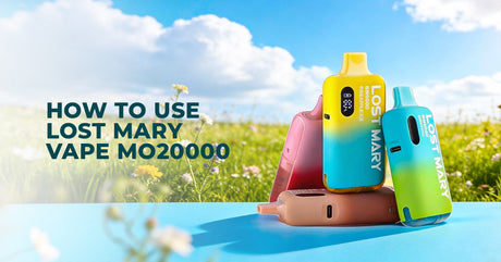 How to Use Lost Mary Vape MO20000