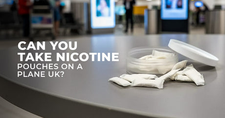 Can You Take Nicotine Pouches on a Plane UK?