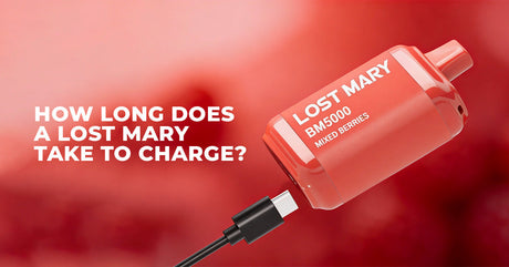 How Long Does a Lost Mary Take to Charge?