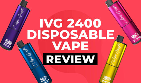 IVG 2400 Disposable Vape Kit Review