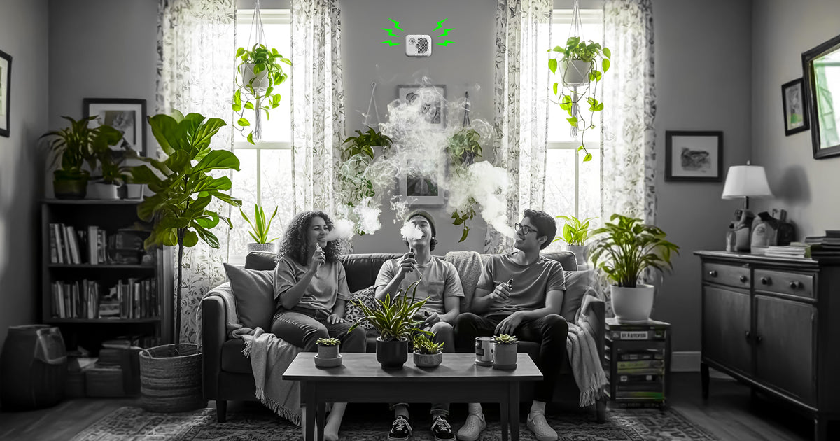 Do Vapes Set Off Smoke Alarms? [Clear Answer] | Grey Haze UK