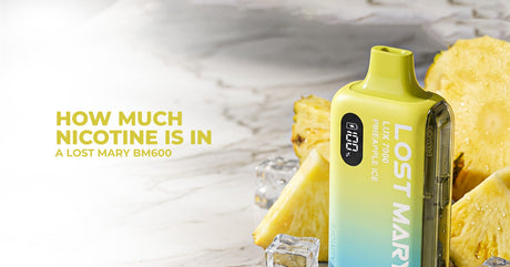 How Much Nicotine is in a Lost Mary BM600