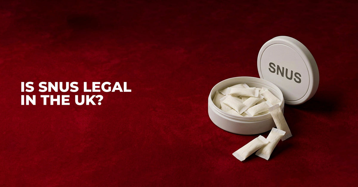 Is Snus Legal in the UK? UK Snus Laws Explained | Grey Haze | Grey Haze UK
