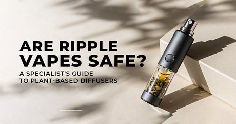 Are Ripple Vapes Safe? A Specialist's Guide to Plant-Based Diffusers