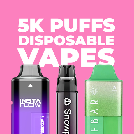 5000 Puff Disposable Vapes