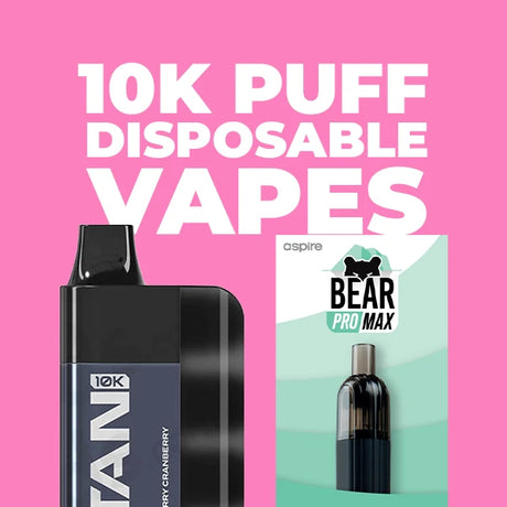 10000 Puff Disposable Vapes